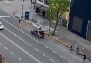 BATALLA CAMPAL EN MAR DEL PLATA