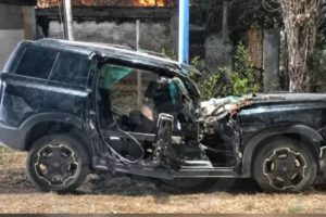 arbol cayo en auto y mato a pareja mendoza