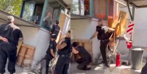 atrincherado rosadio