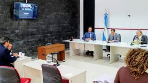 audiencia causa molino fenix