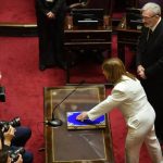 Senadores electos juraron y quedó pendiente la asunción de la libertaria Villaverde