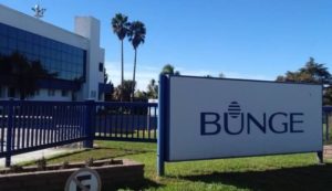bunge