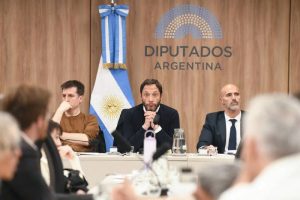 diputados libra