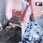 Un incendio destruyó una vivienda y lanzan una rifa solidaria