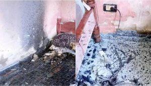 incendio en casa de san luis