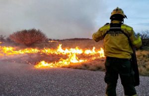 incendio estancia grande