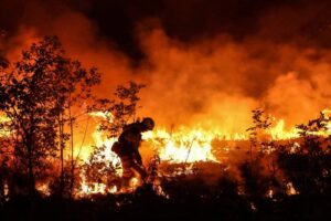 incendios en europa por ola de calor