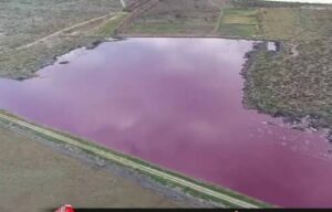 laguna rosa en trelew