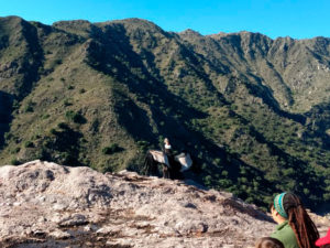 liberacion-condor