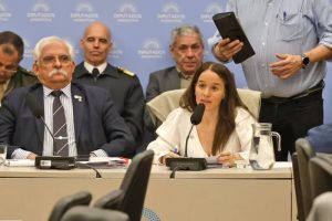 maria ibarzabal murphy en diputados