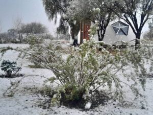 nieve en san luis 2