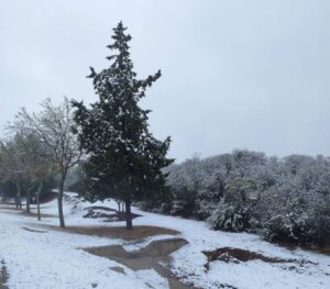 nieve en san luis 8