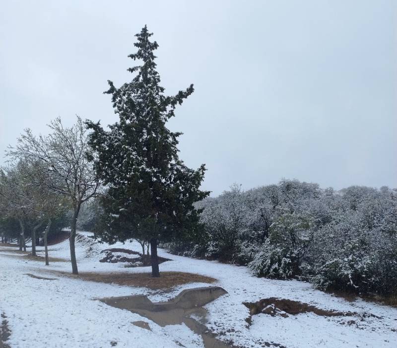 nieve en san luis 8