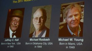 nobel-medicina-2017