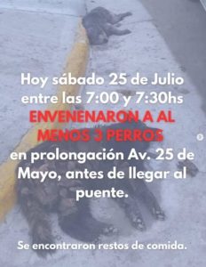 perros envenenados bolivar