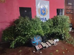 pizzeria narco san luis