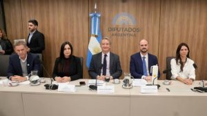 plenario de comisiones en Diputados