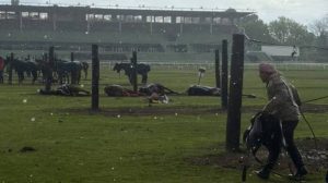 rayo mato a caballos