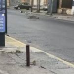 Murió un motociclista tras chocar contra una soga colocada para un desfile en Quilmes