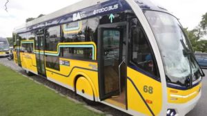 trambus