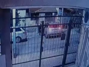 viudas negras asesinan a hombre de 73
